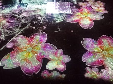 NAKED 桜の新宿御苑 2023に投稿された画像（2023/4/3）