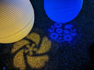 NAKED 桜の新宿御苑 2023に投稿された画像（2023/4/3）