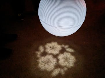 NAKED 桜の新宿御苑 2023に投稿された画像（2023/4/3）