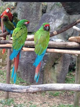 伊豆シャボテン動物公園に投稿された画像（2023/4/3）