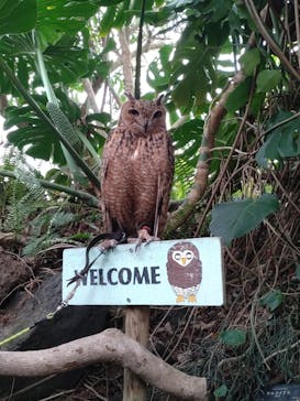 伊豆シャボテン動物公園に投稿された画像（2023/4/3）