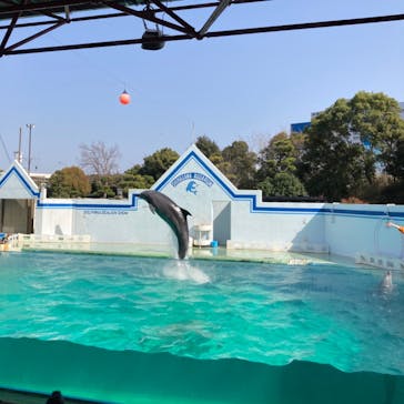 しながわ水族館に投稿された画像（2023/4/4）