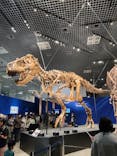 特別展「恐竜博2023」に投稿された画像（2023/4/4）