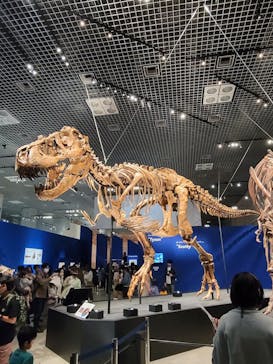特別展「恐竜博2023」に投稿された画像（2023/4/4）