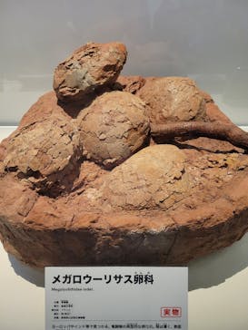 特別展「恐竜博2023」に投稿された画像（2023/4/4）