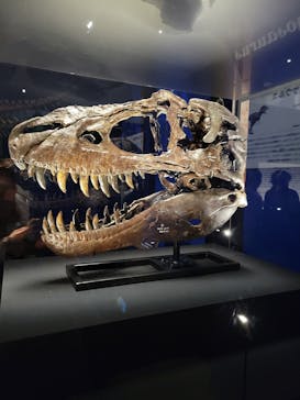 特別展「恐竜博2023」に投稿された画像（2023/4/4）