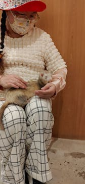 Moff animal cafe MARKIS 福岡ももち店に投稿された画像（2023/4/4）