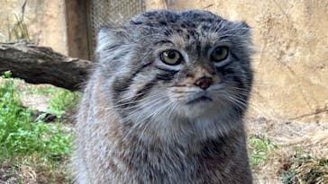 那須どうぶつ王国に投稿された画像（2023/4/4）