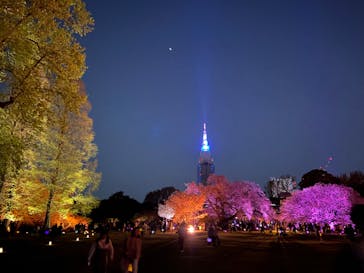 NAKED 桜の新宿御苑 2023に投稿された画像（2023/4/4）