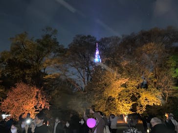 NAKED 桜の新宿御苑 2023に投稿された画像（2023/4/4）