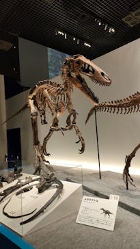 特別展「恐竜博2023」に投稿された画像（2023/4/4）