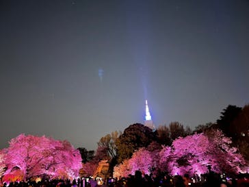 NAKED 桜の新宿御苑 2023に投稿された画像（2023/4/4）