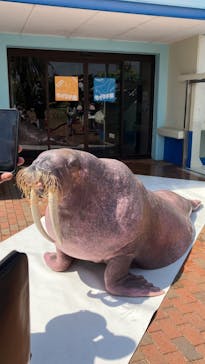 南知多ビーチランド＆南知多おもちゃ王国に投稿された画像（2023/4/4）