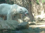 よこはま動物園ズーラシアに投稿された画像（2023/4/4）
