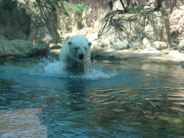よこはま動物園ズーラシアに投稿された画像（2023/4/4）