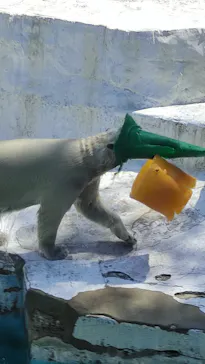 天王寺動物園に投稿された画像（2023/4/4）