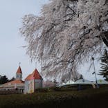 渋川スカイランドパークに投稿された画像（2023/4/4）