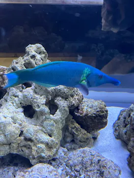 すみだ水族館に投稿された画像（2023/4/4）