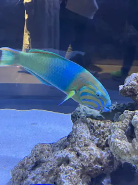 すみだ水族館に投稿された画像（2023/4/4）