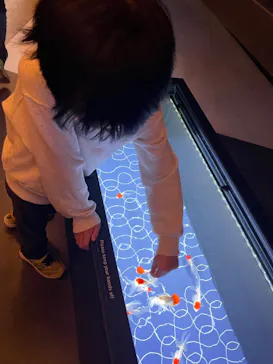 すみだ水族館に投稿された画像（2023/4/4）