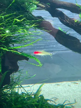 すみだ水族館に投稿された画像（2023/4/4）