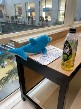 名古屋港水族館に投稿された画像（2023/4/4）