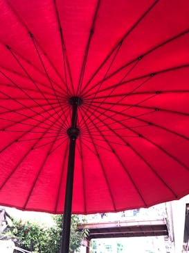 浅草花やしきに投稿された画像（2023/4/4）