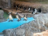 しながわ水族館に投稿された画像（2023/4/4）