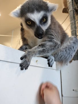 アニタッチみなとみらいに投稿された画像（2023/4/4）