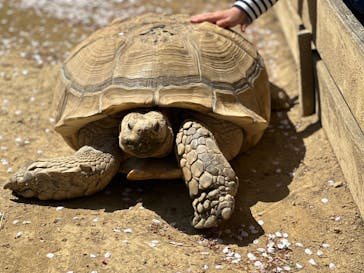 群馬サファリパークに投稿された画像（2023/4/4）