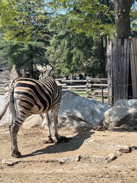 群馬サファリパークに投稿された画像（2023/4/4）