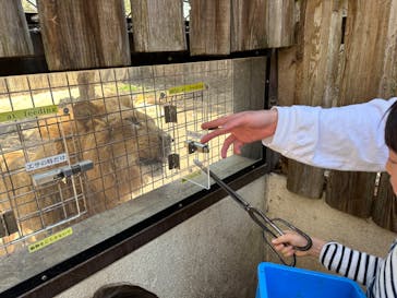 群馬サファリパークに投稿された画像（2023/4/4）