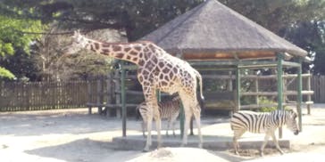 東武動物公園に投稿された画像（2023/4/4）