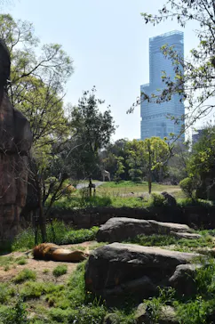 天王寺動物園に投稿された画像（2023/4/4）