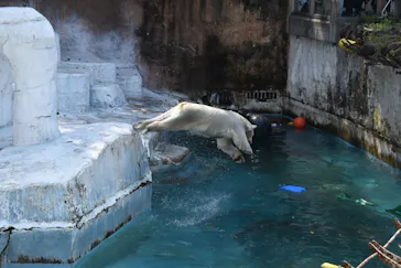 天王寺動物園に投稿された画像（2023/4/4）