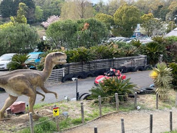 伊豆ぐらんぱる公園に投稿された画像（2023/4/4）