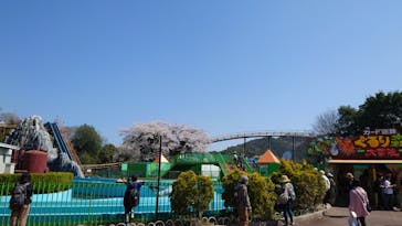 日本モンキーパークに投稿された画像（2023/4/4）