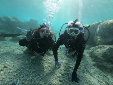 武藤潜水に投稿された画像（2023/4/4）