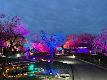 せんだい農業園芸センター　みどりの杜に投稿された画像（2023/4/4）