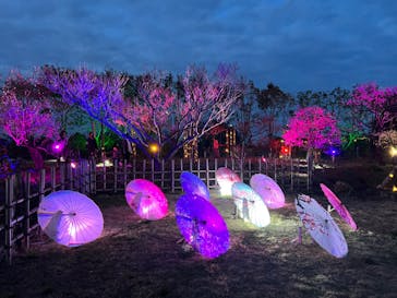 せんだい農業園芸センター　みどりの杜に投稿された画像（2023/4/4）