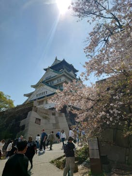 大阪城天守閣に投稿された画像（2023/4/4）