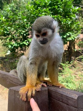 長崎バイオパークに投稿された画像（2023/4/4）