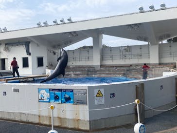 九十九島水族館海きららに投稿された画像（2023/4/4）