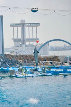 名古屋港水族館に投稿された画像（2023/4/4）