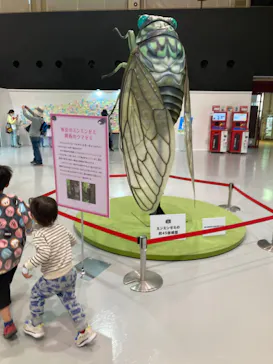 ひらかたパークに投稿された画像（2023/4/4）