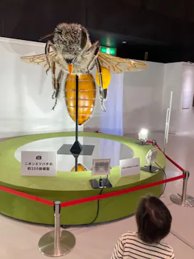 ひらかたパークに投稿された画像（2023/4/4）