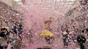 西武園ゆうえんちに投稿された画像（2023/4/4）