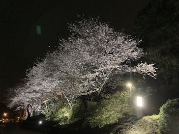 成田の命泉　大和の湯に投稿された画像（2023/4/4）