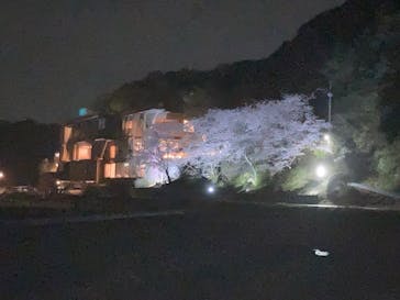 成田の命泉　大和の湯に投稿された画像（2023/4/4）