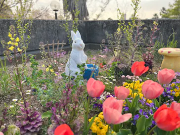 ひらかたパークに投稿された画像（2023/4/4）